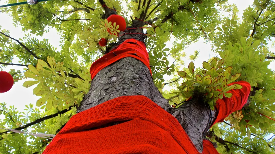 Rubrik_Klima_und_Energie_Roter_Faden_im_Baum__c._Pixabay_tree-415068_1920